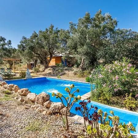 Eco Yurta
